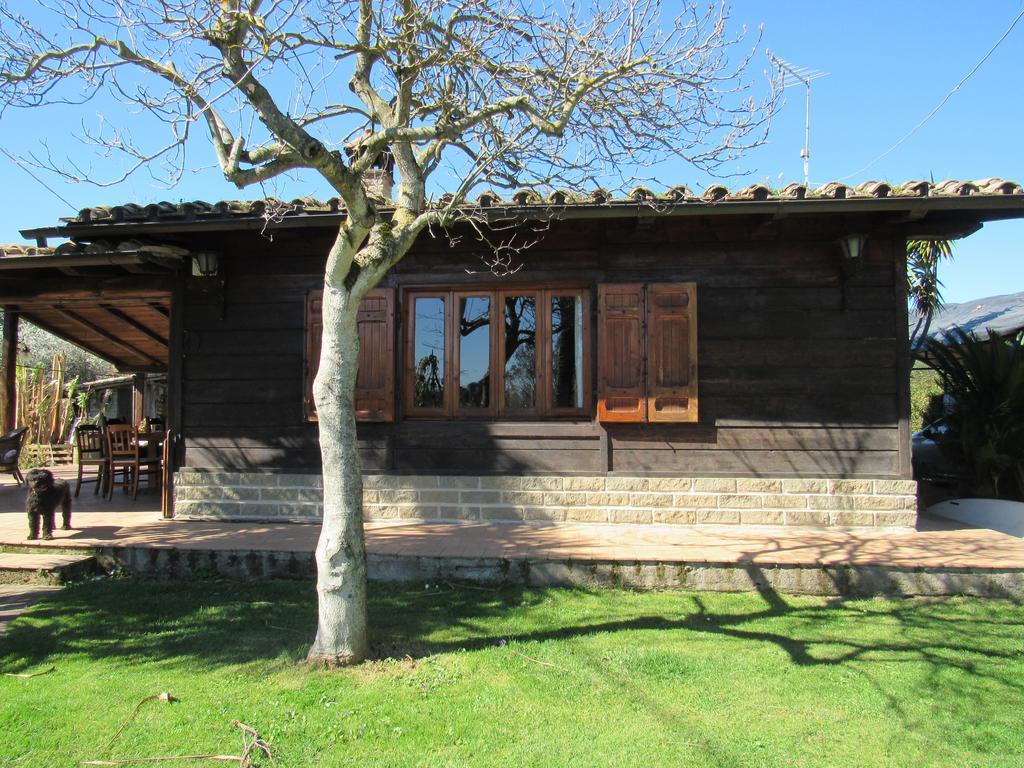 The Lake Chalet Bracciano  Exterior photo